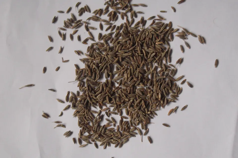 Cumin