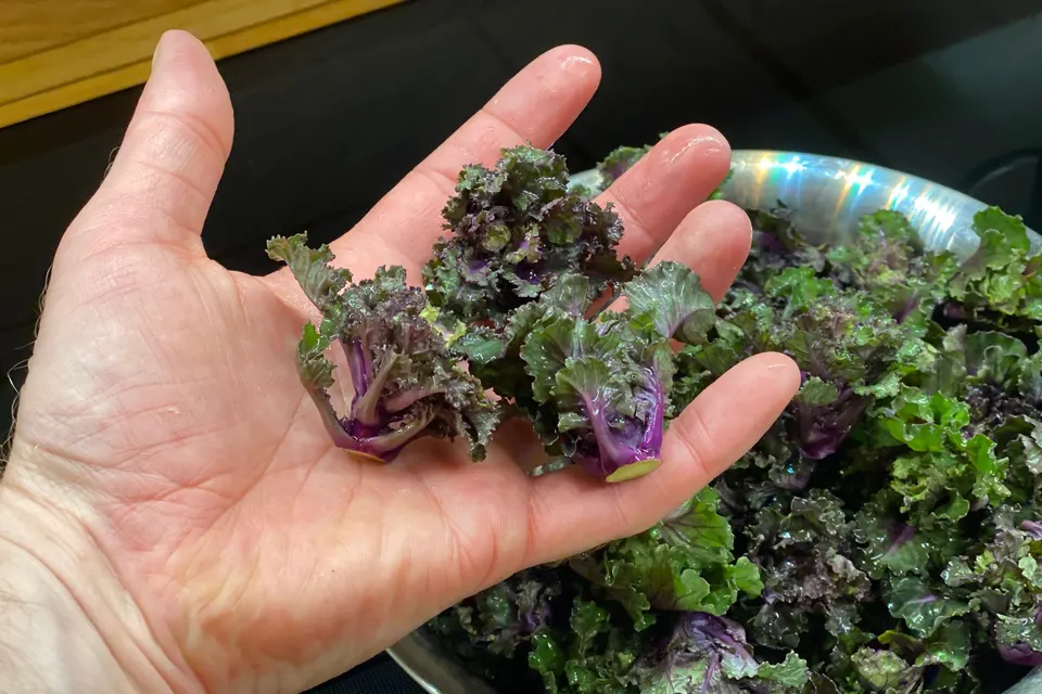 Kalettes