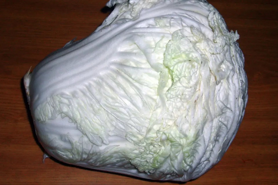 Napa Cabbage (Chinese Cabbage)