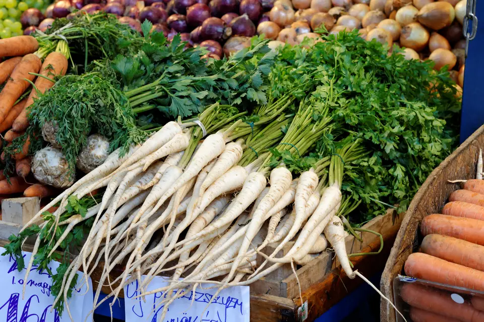 Parsley Root (Hamburg Parsley)