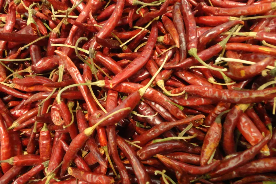 Chile de Árbol Pepper