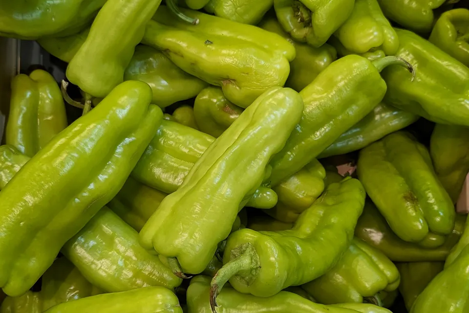 Cubanelle Pepper
