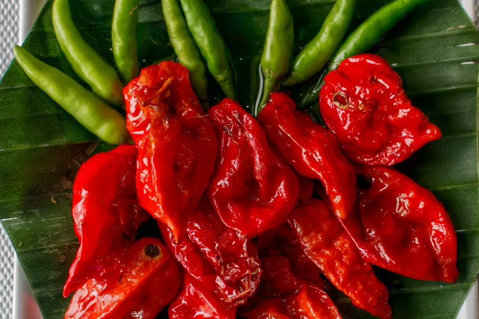Ghost Pepper (Bhut Jolokia)