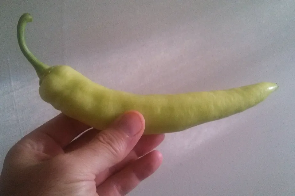 Hungarian Wax Pepper