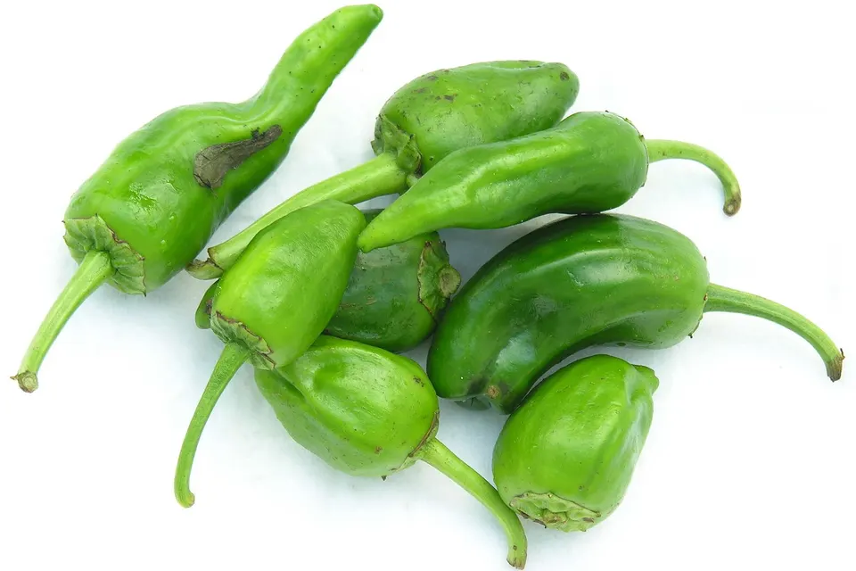 Padrón Pepper