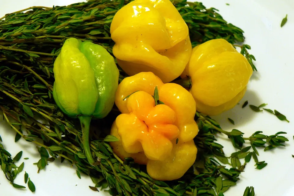 Scotch Bonnet Pepper