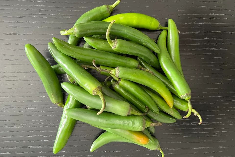 Serrano Pepper