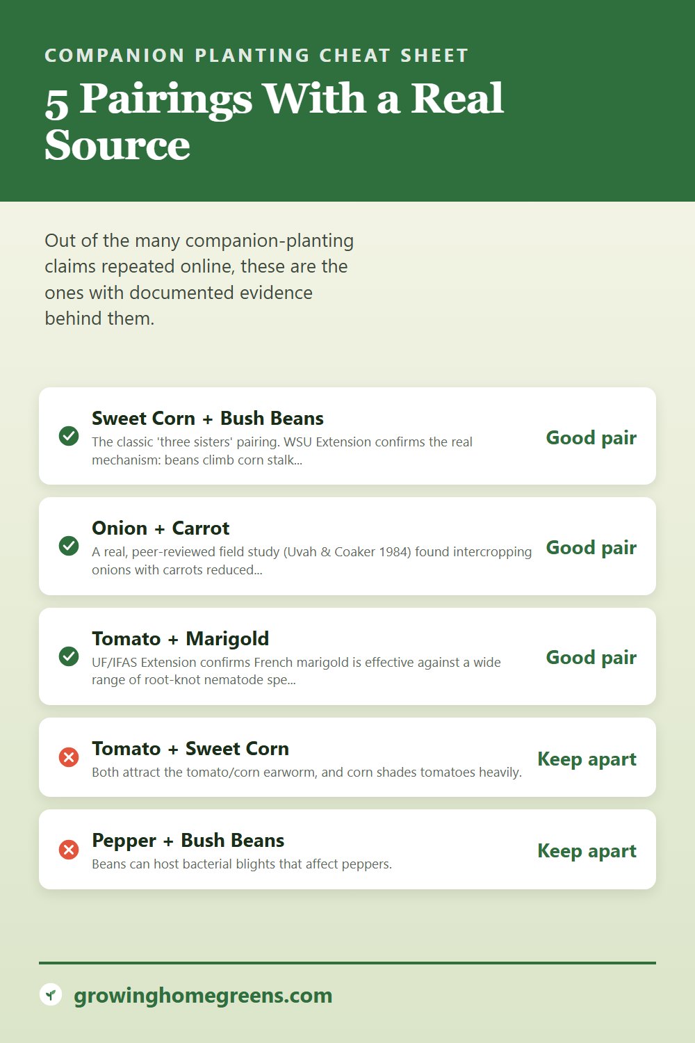 Companion Planting, Explained: gardening guide