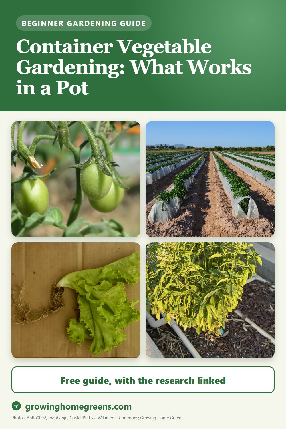 Container Vegetable Gardening: What Works in a Pot: gardening guide