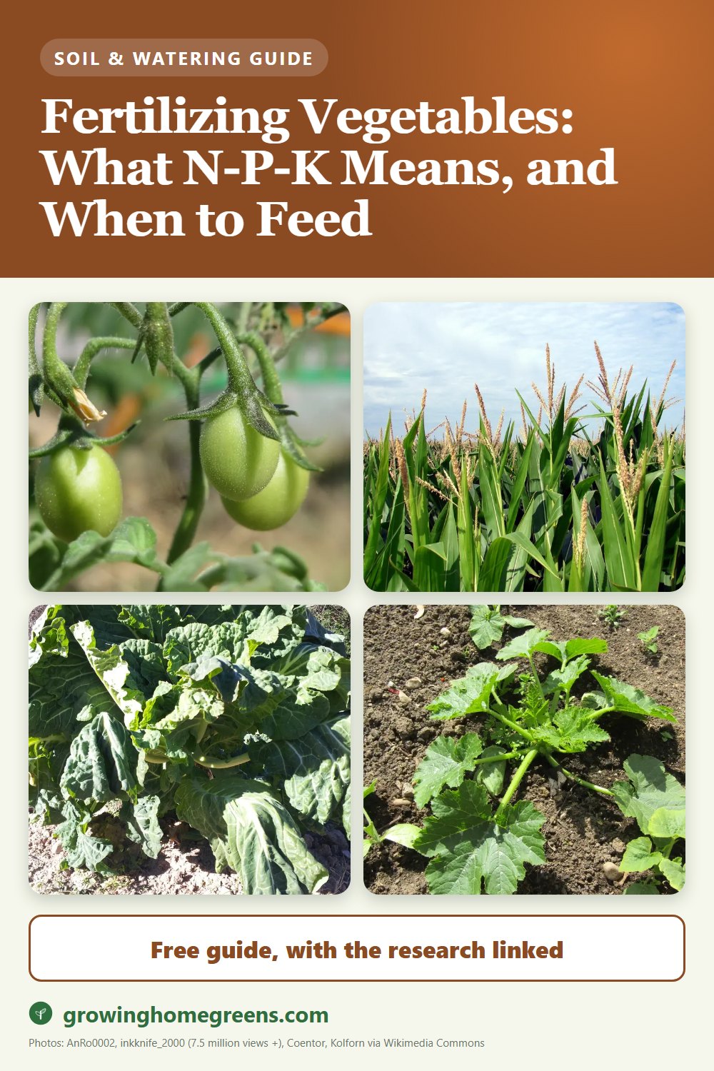 Fertilizing Vegetables: What N-P-K Means, and When to Feed: gardening guide