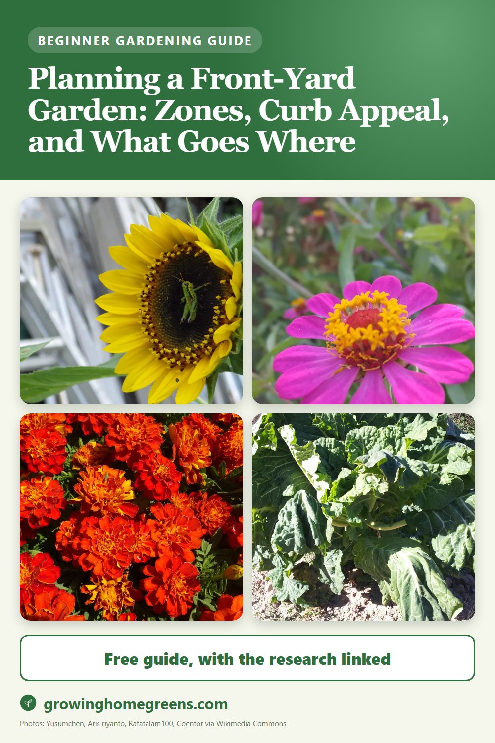 Planning a Front-Yard Garden: Zones, Curb Appeal, and What Goes Where: gardening guide
