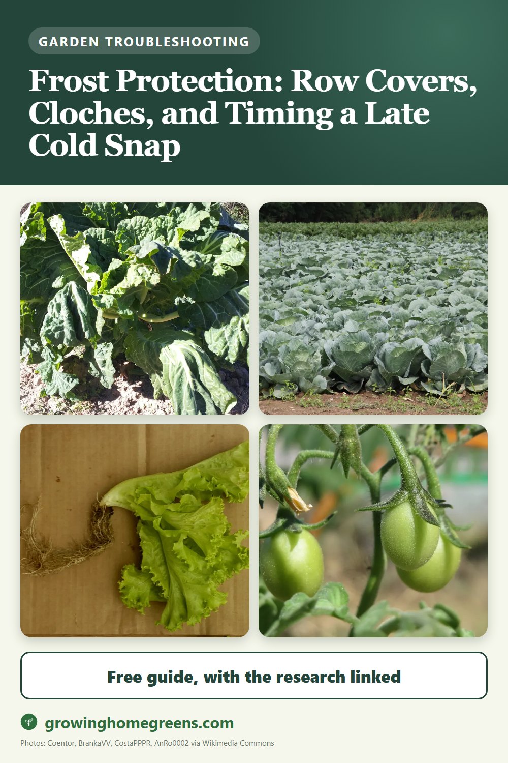 Frost Protection: Row Covers, Cloches, and Timing a Late Cold Snap: gardening guide