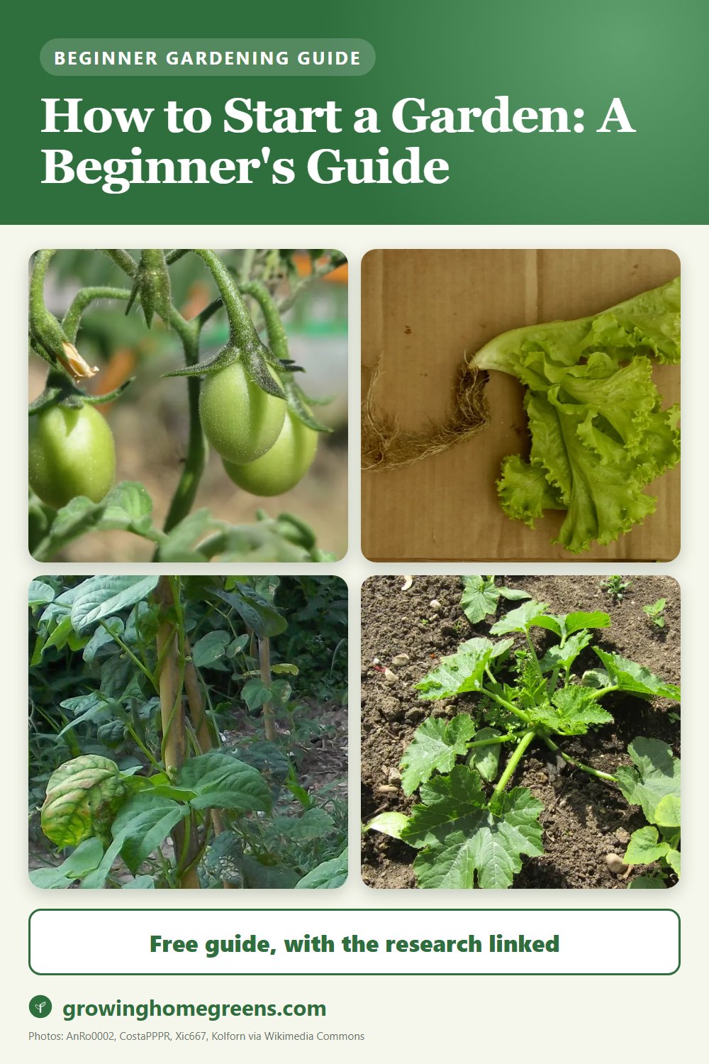 How to Start a Garden: A Beginner's Guide: gardening guide
