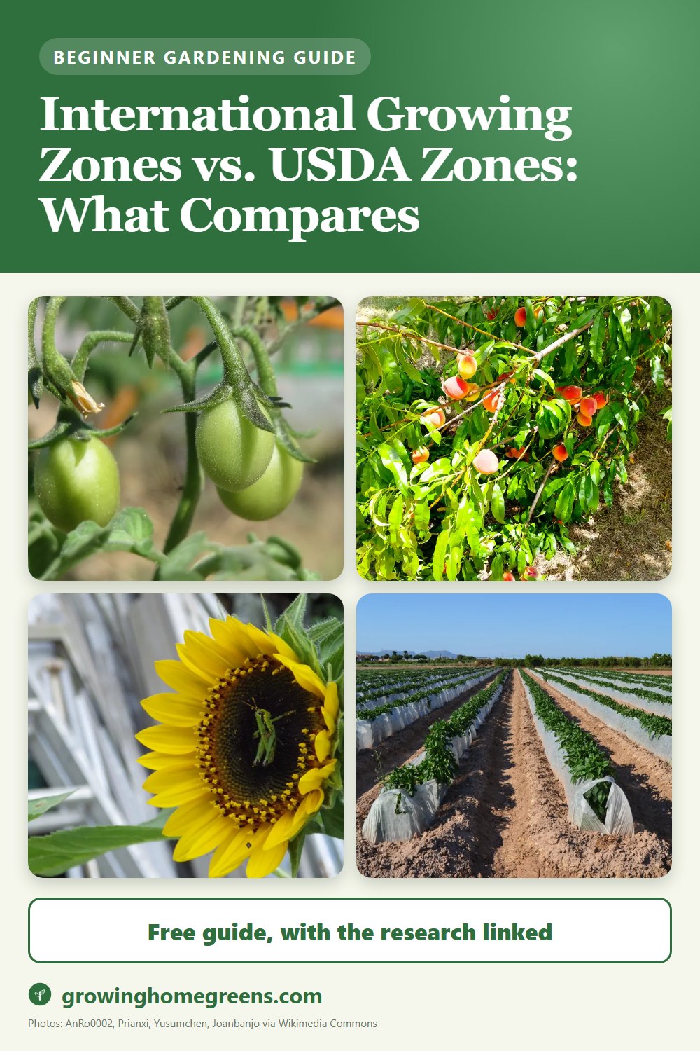 International Growing Zones vs. USDA Zones: What Compares: gardening guide