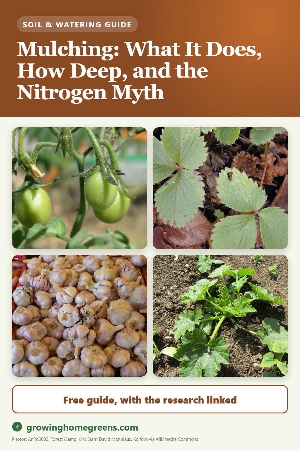 Mulching: What It Does, How Deep, and the Nitrogen Myth: gardening guide