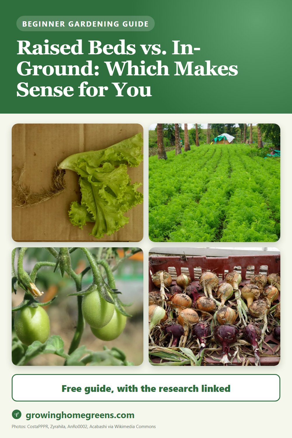 Raised Beds vs. In-Ground: Which Makes Sense for You: gardening guide