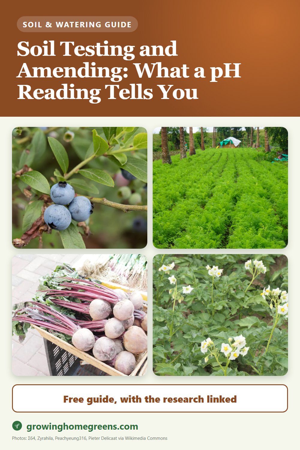 Soil Testing and Amending: What a pH Reading Tells You: gardening guide