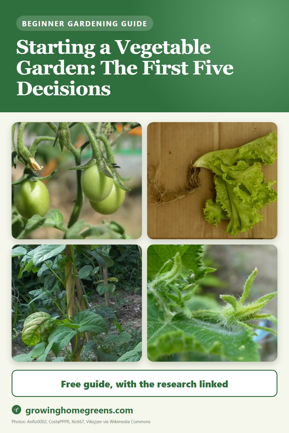 Starting a Vegetable Garden: The First Five Decisions: gardening guide