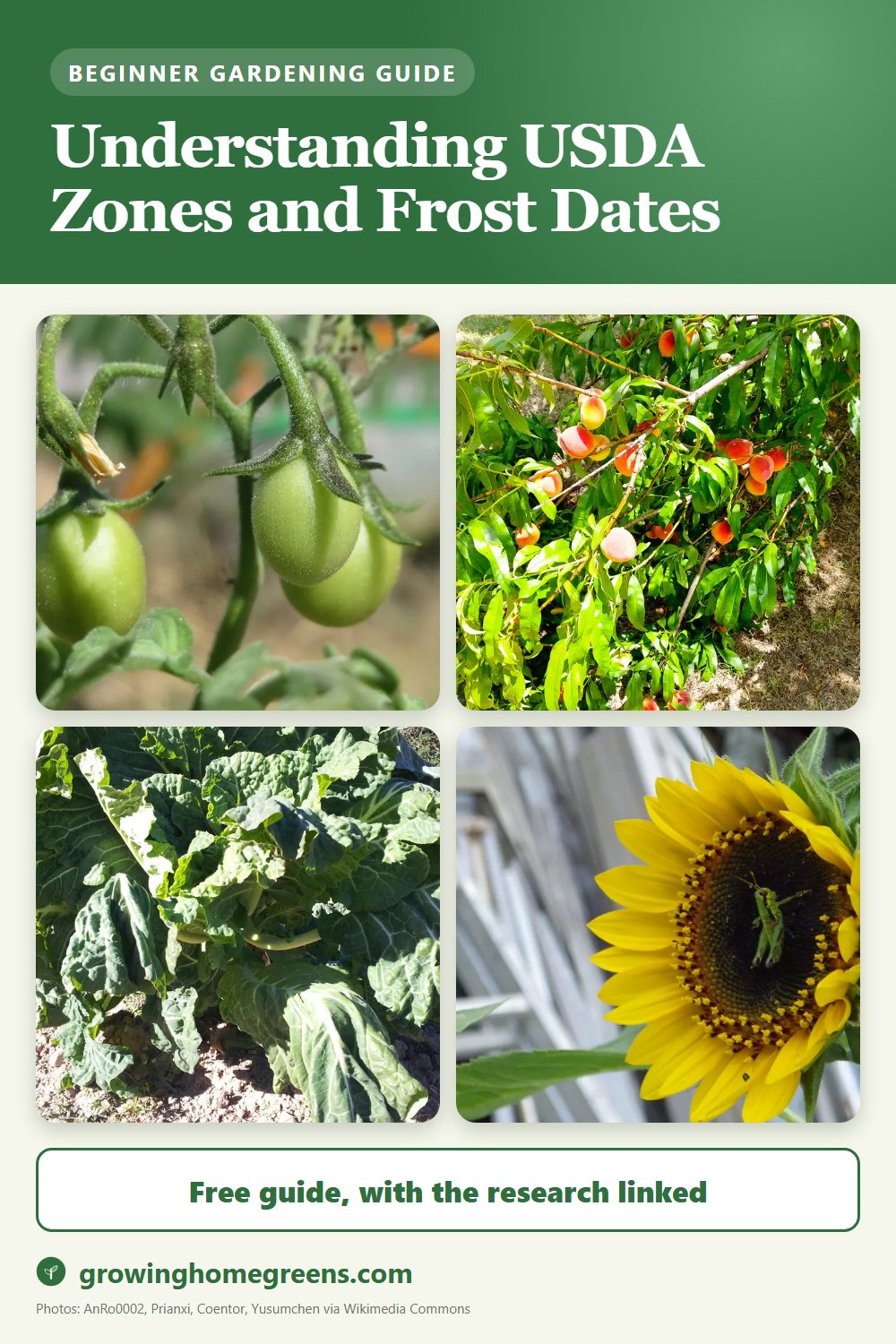 Understanding USDA Zones and Frost Dates: gardening guide