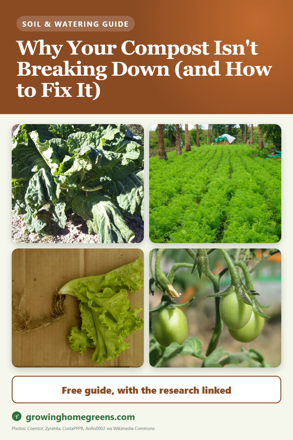 Why Your Compost Isn't Breaking Down (and How to Fix It): gardening guide