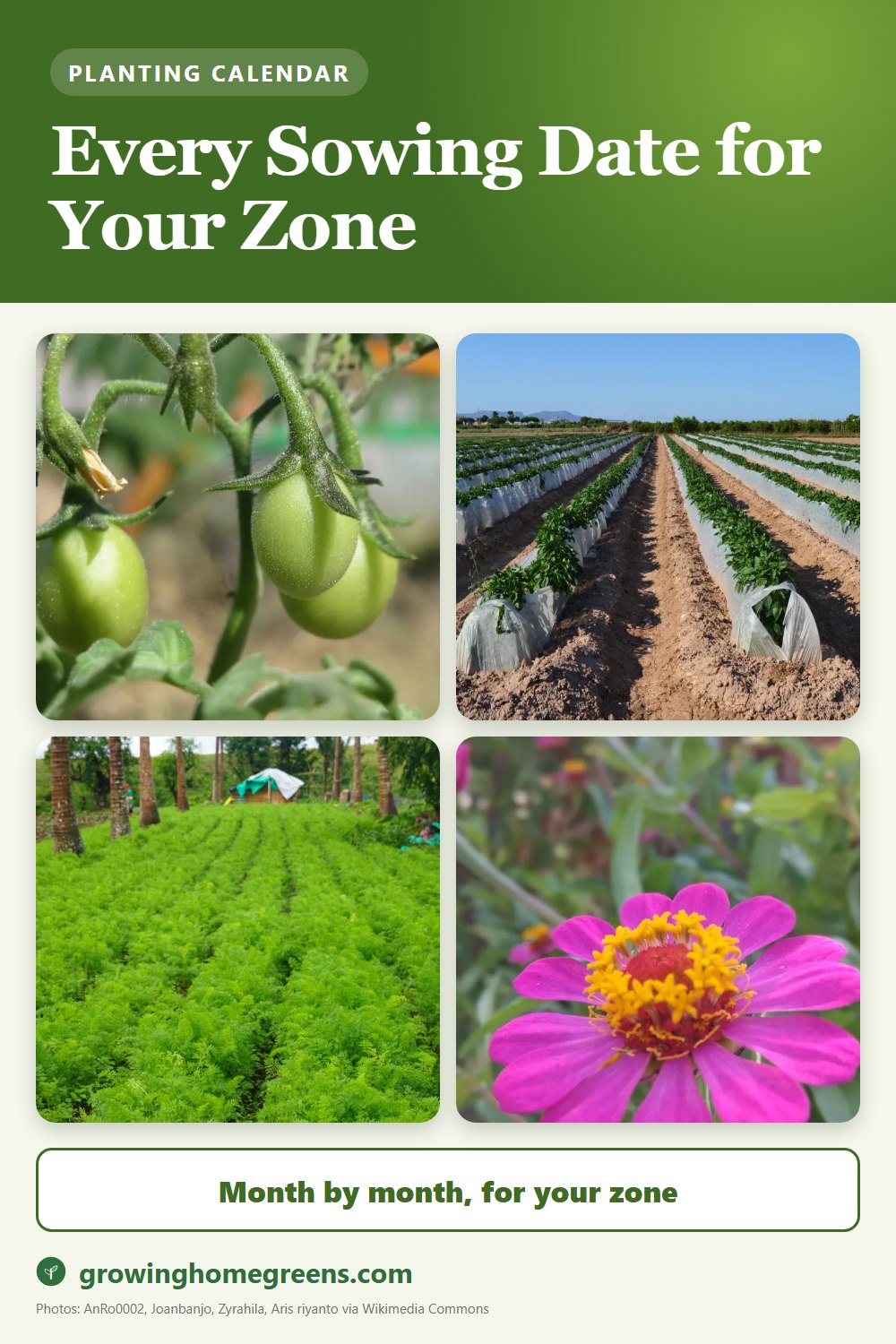Planting calendars for every USDA hardiness zone