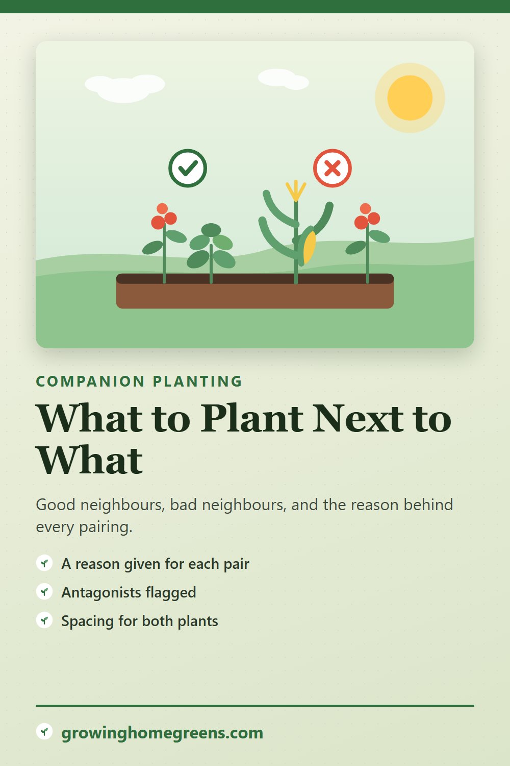 Companion planting guide for Carrot