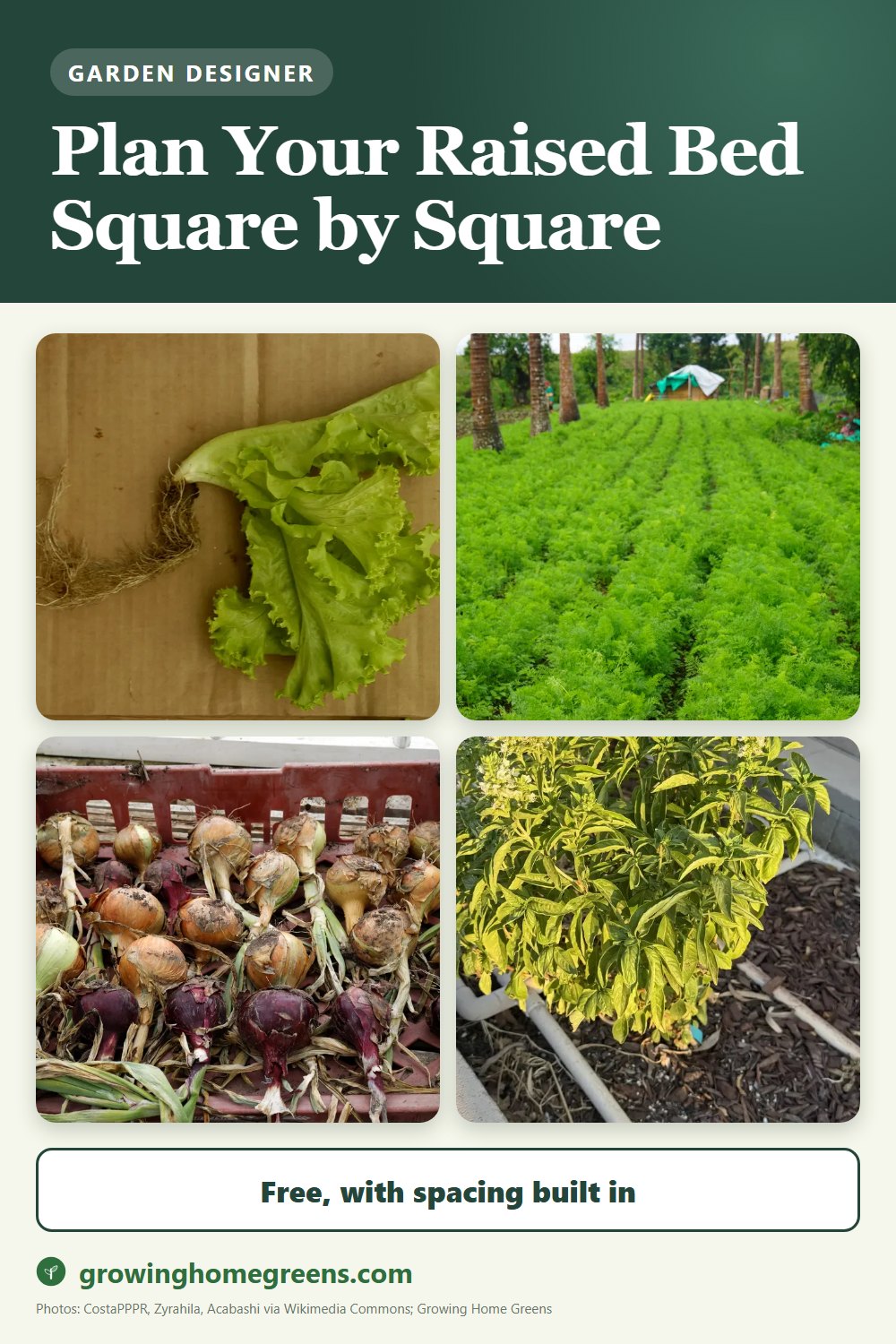 Ready-made raised bed garden plans