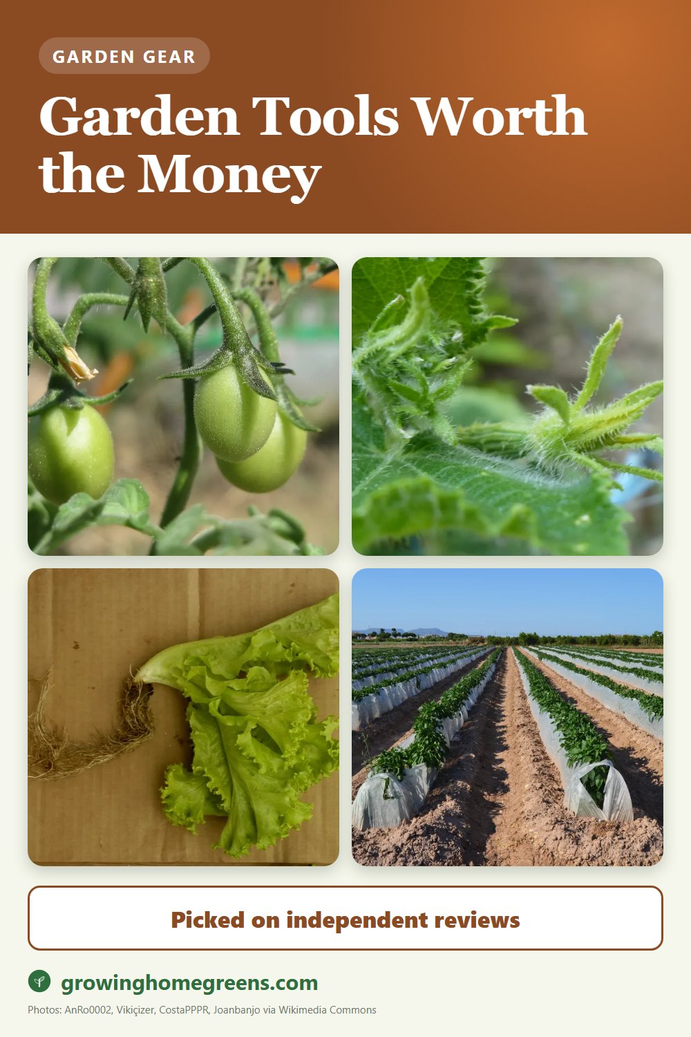 Garden gear worth the money: tools picked on independent review consensus