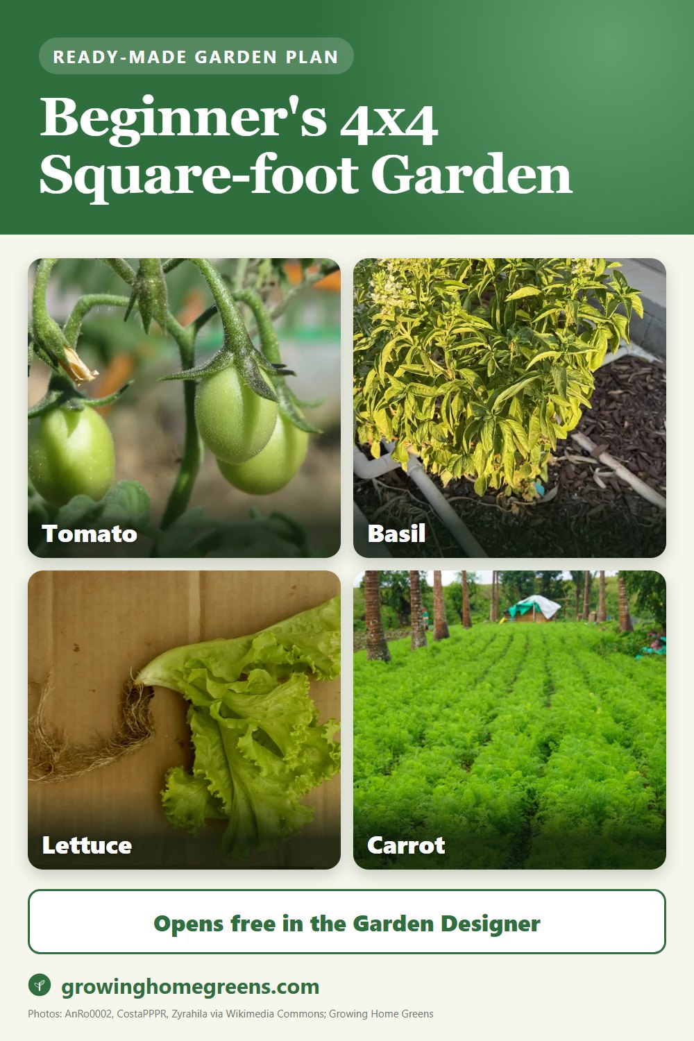 A beginner's 4x4 square-foot garden