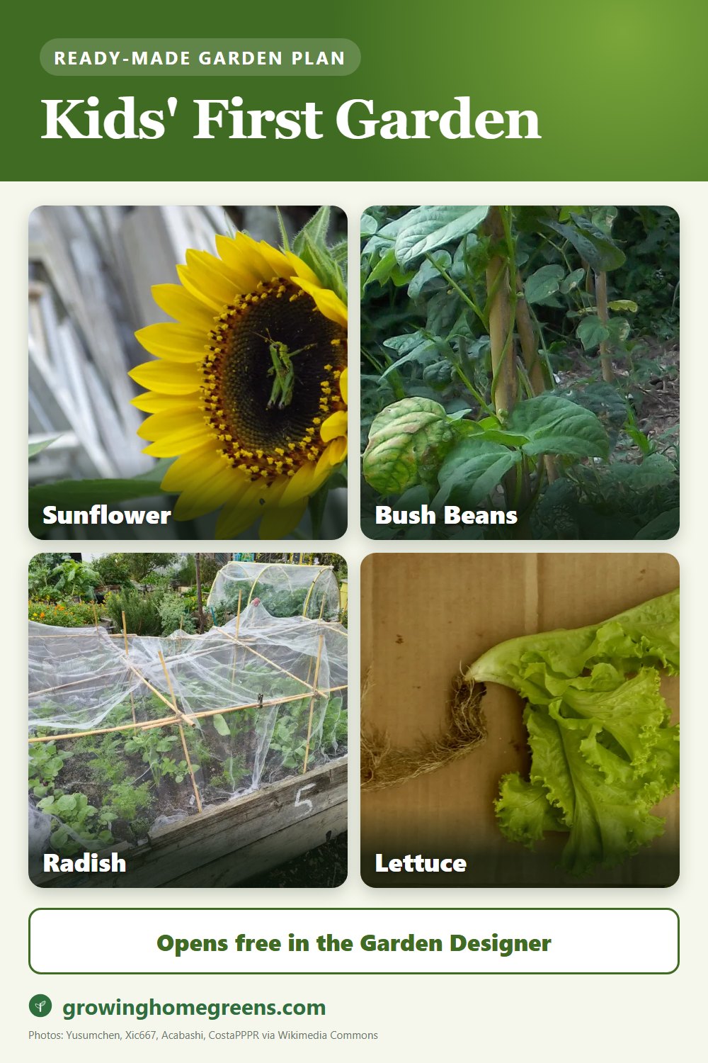 A kids' first garden
