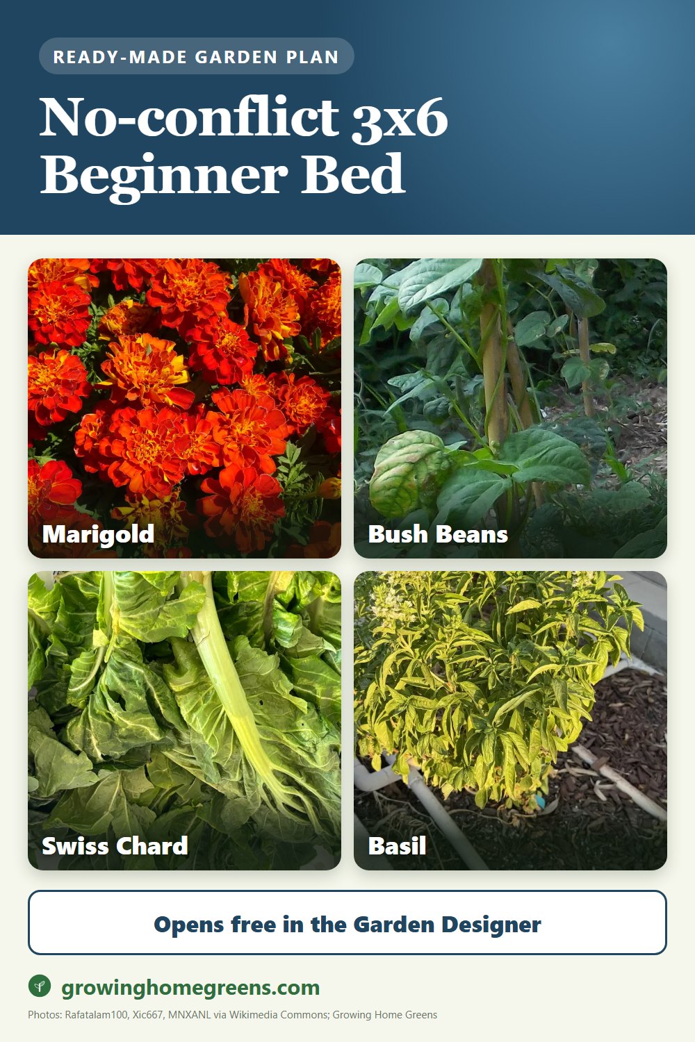 A no-conflict 3x6 beginner bed