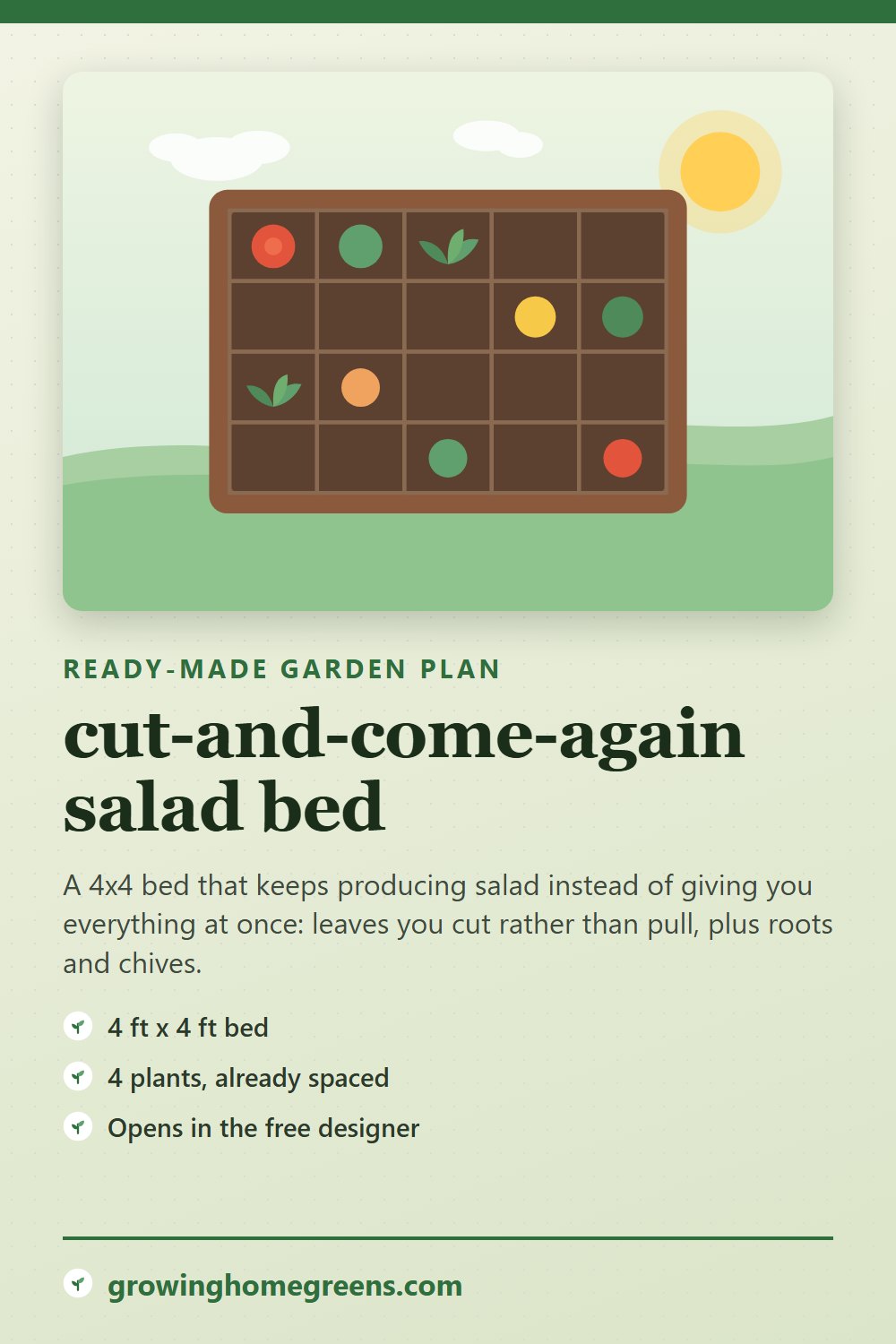A cut-and-come-again salad bed