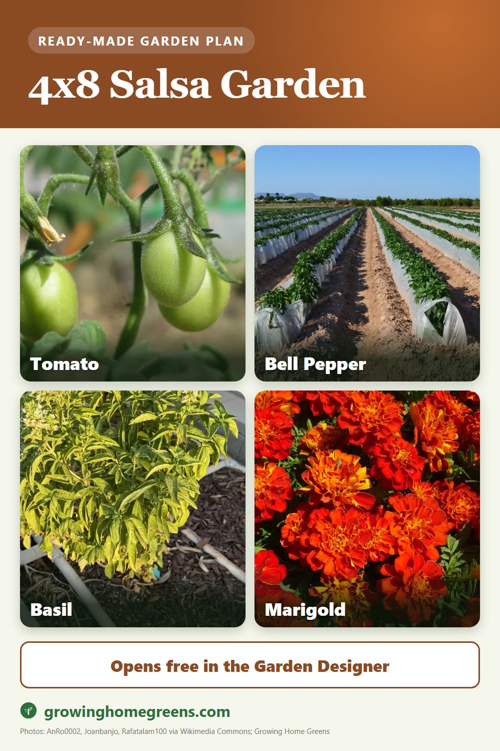 A 4x8 salsa garden