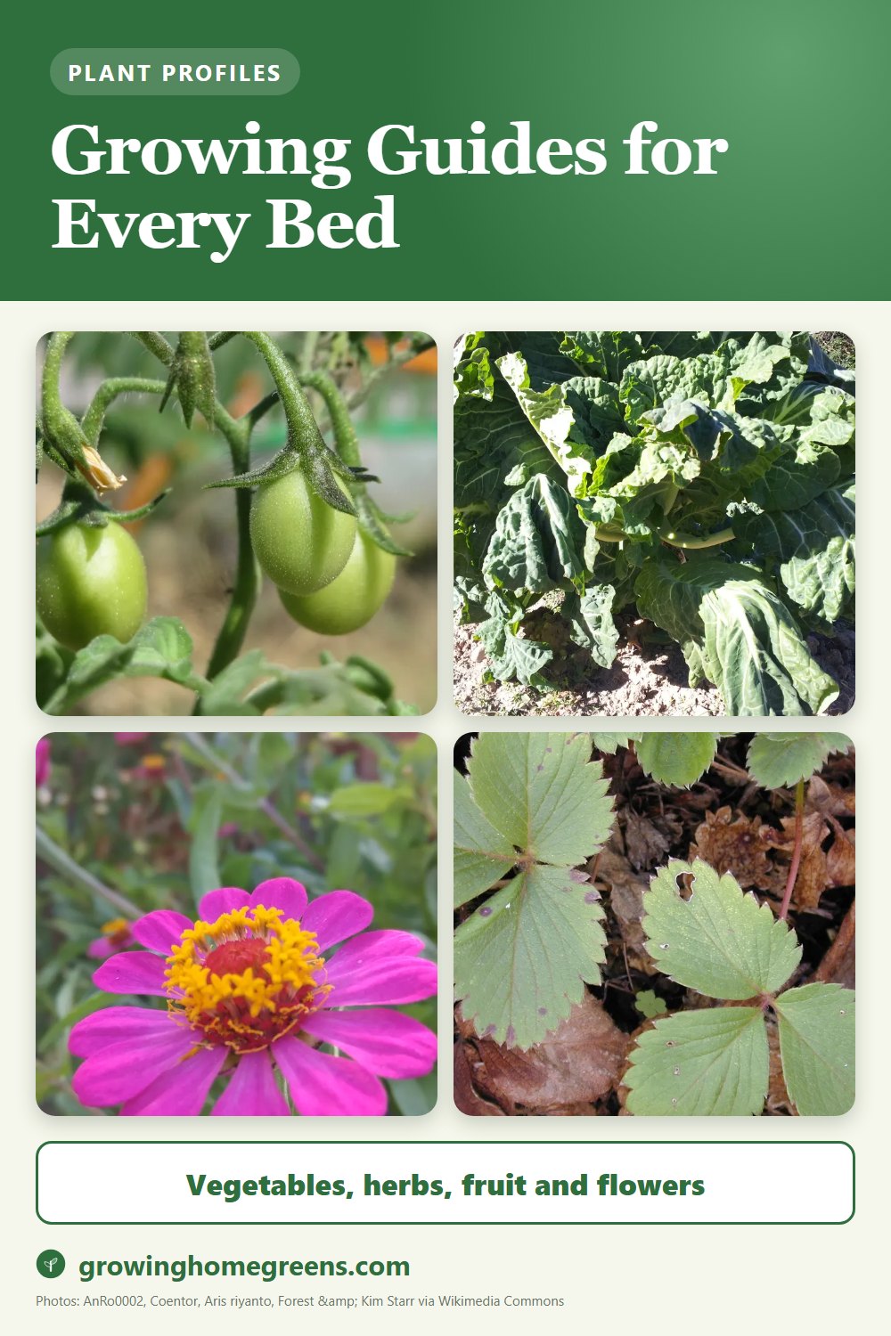 Plant growing guides for vegetables, peppers, herbs and flowers