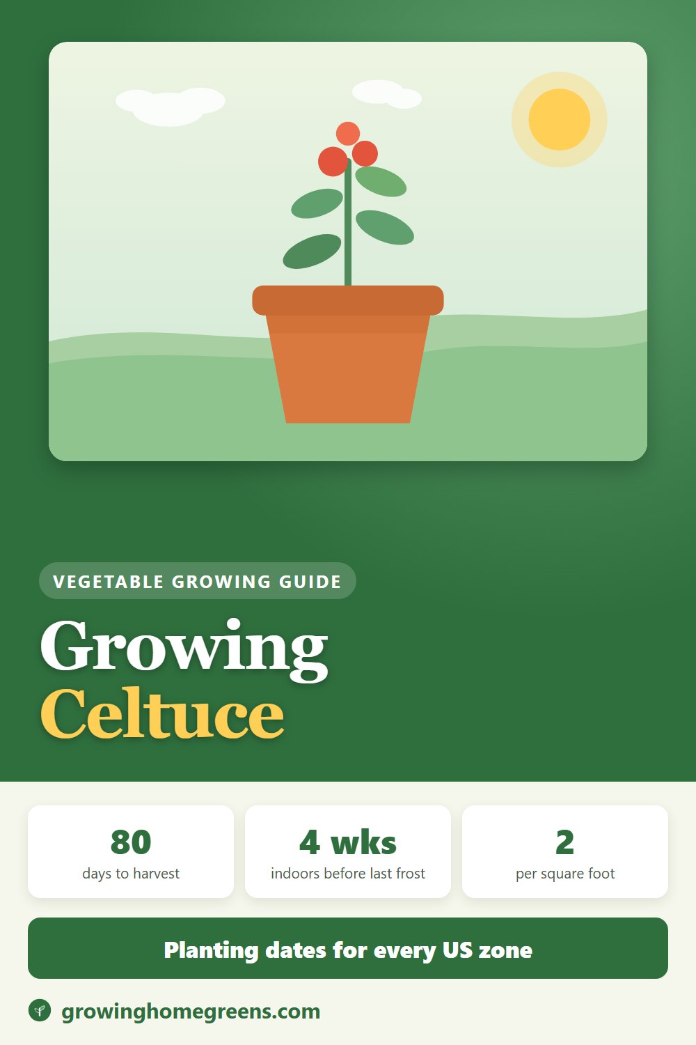 Celtuce (Stem Lettuce): growing guide