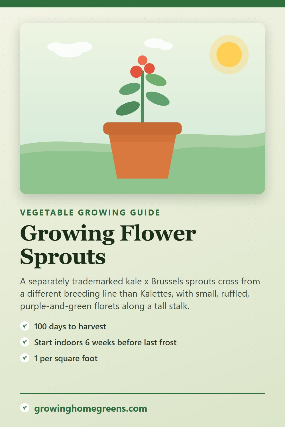 Flower Sprouts: growing guide