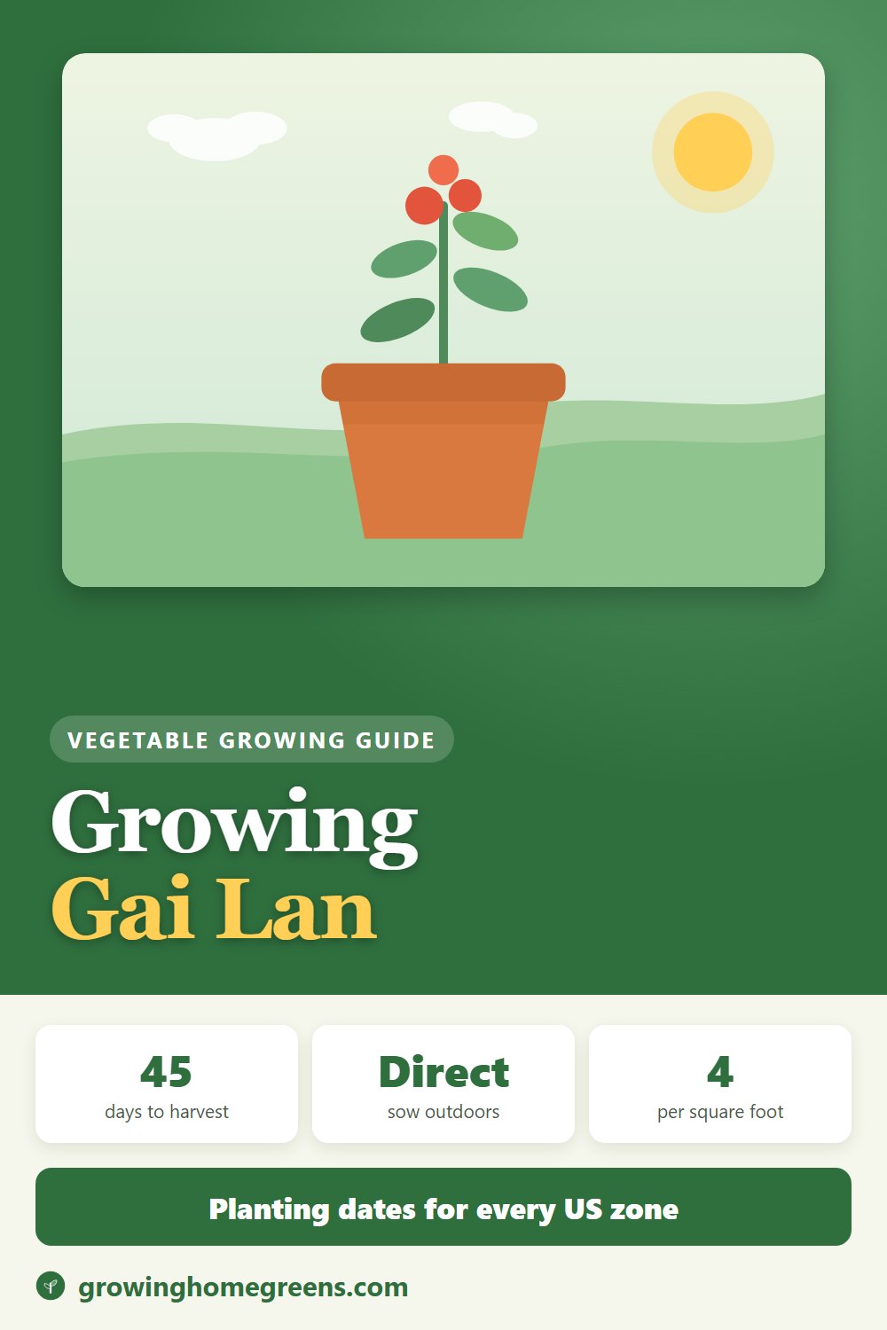 Gai Lan (Chinese Broccoli): growing guide