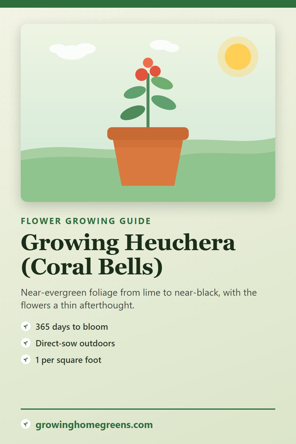 Heuchera (Coral Bells): growing guide