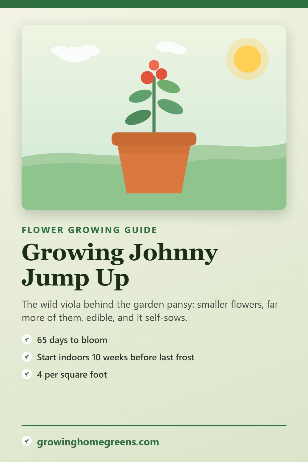Johnny Jump Up: growing guide