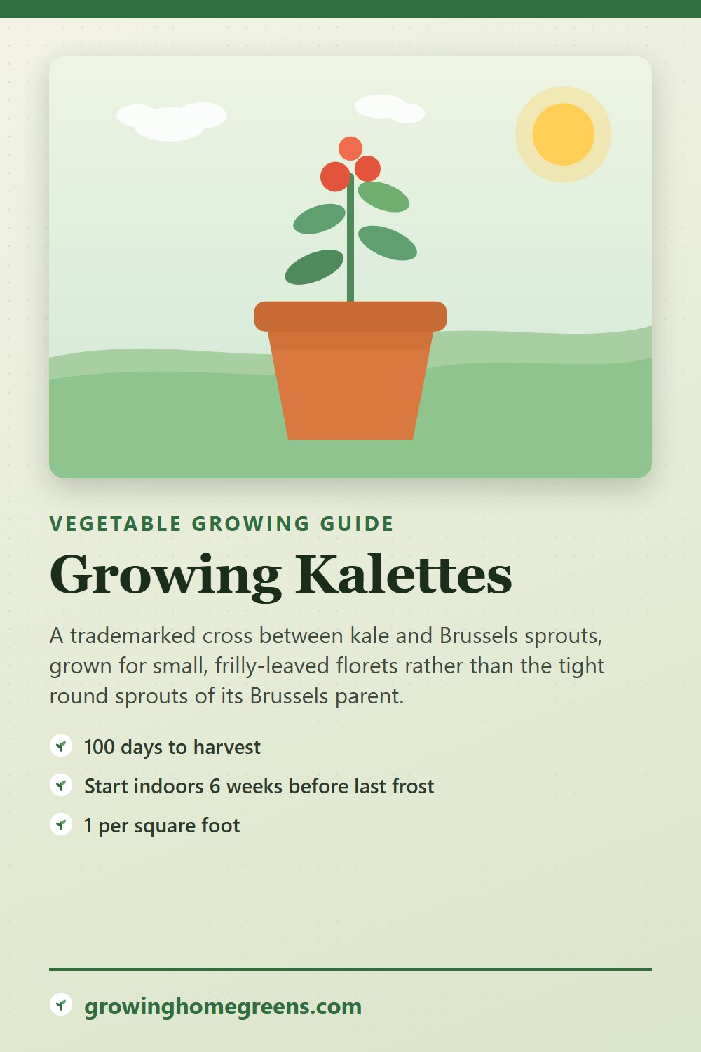 Kalettes: growing guide