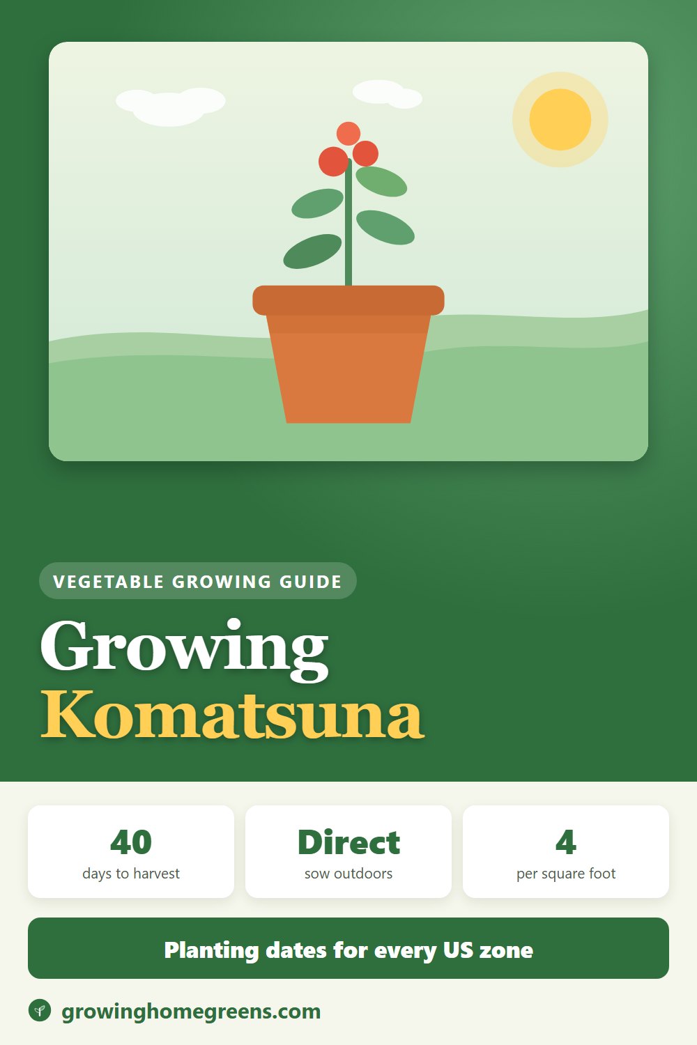Komatsuna: growing guide