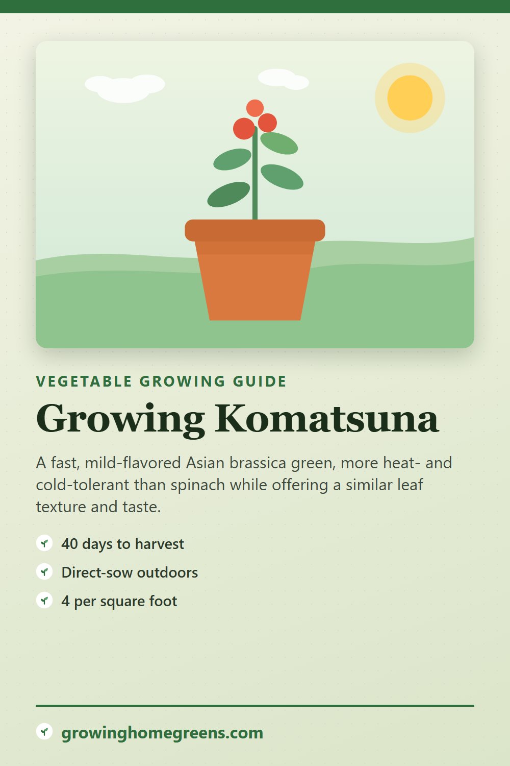 Komatsuna: growing guide