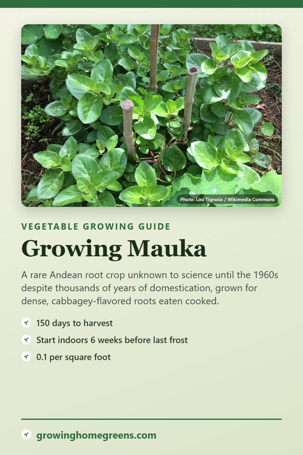Mauka: growing guide