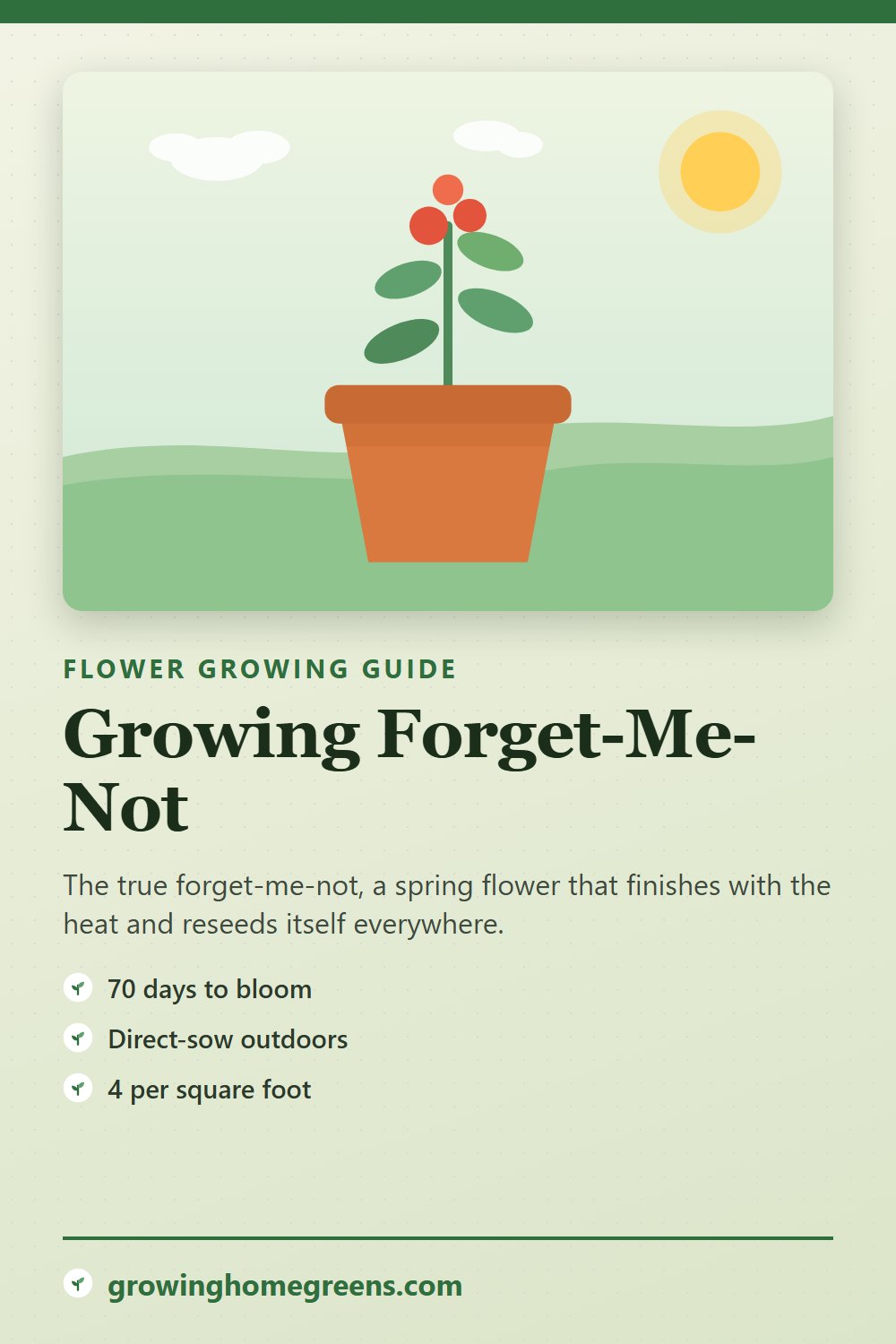 Forget-Me-Not: growing guide