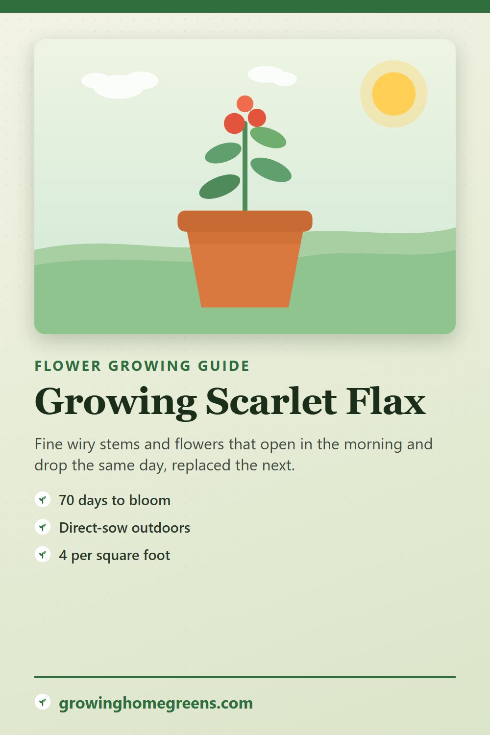 Scarlet Flax: growing guide