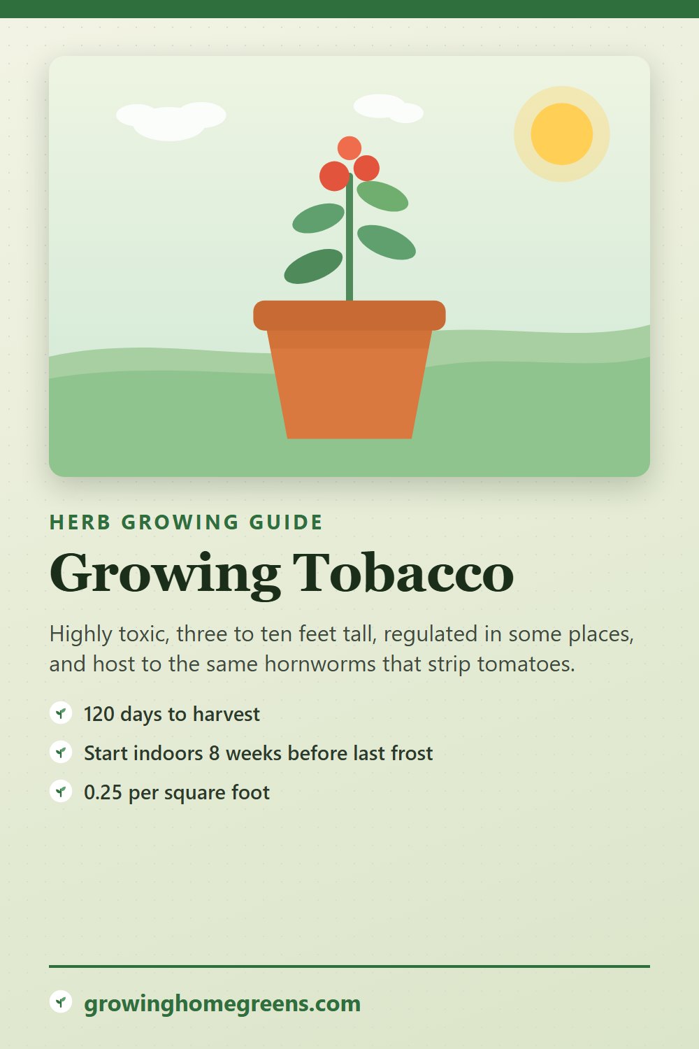 Tobacco: growing guide