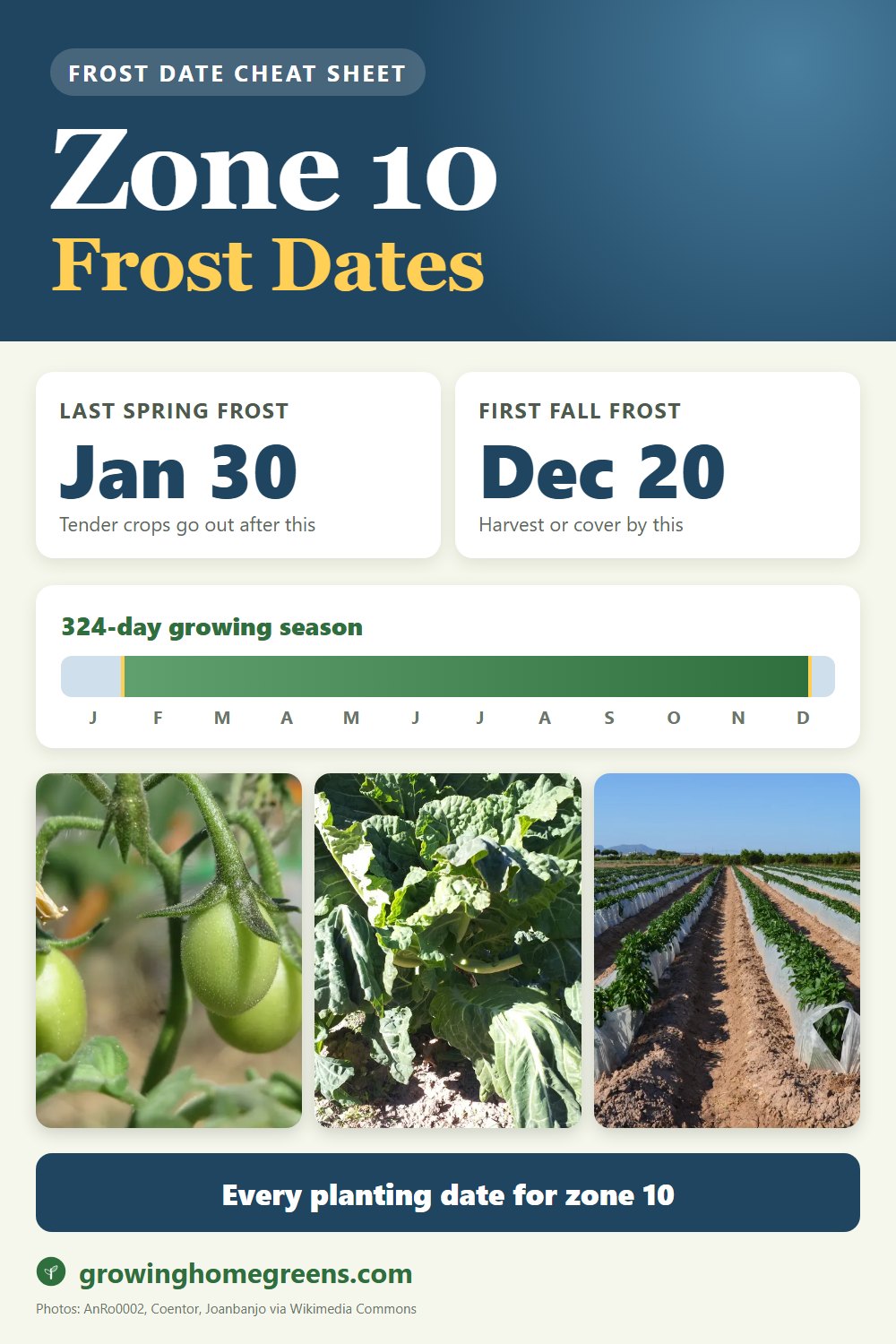 Zone 10b frost dates cheat sheet