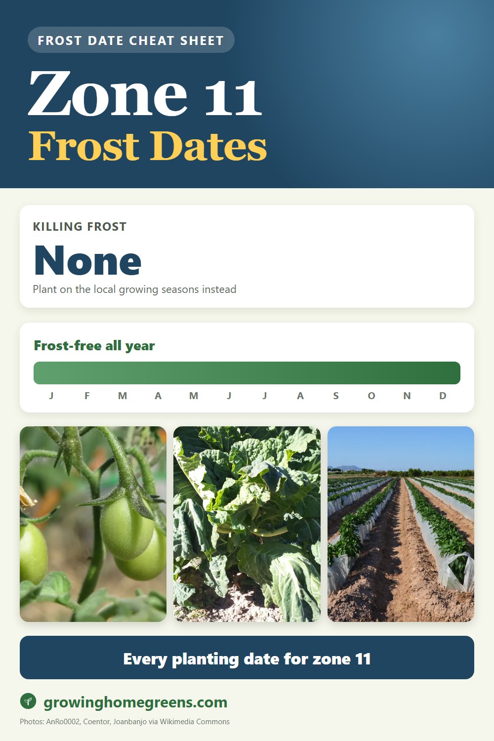 Zone 11b frost dates cheat sheet