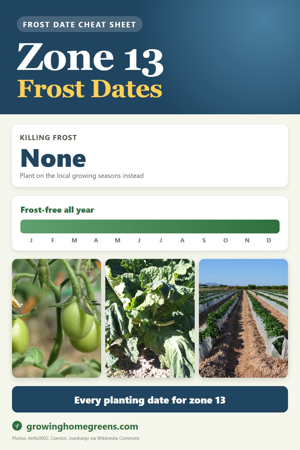 Zone 13b frost dates cheat sheet