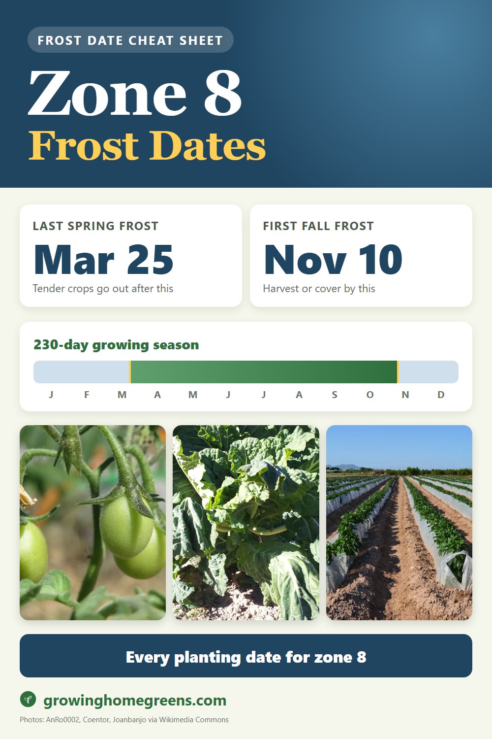 Zone 8b frost dates cheat sheet